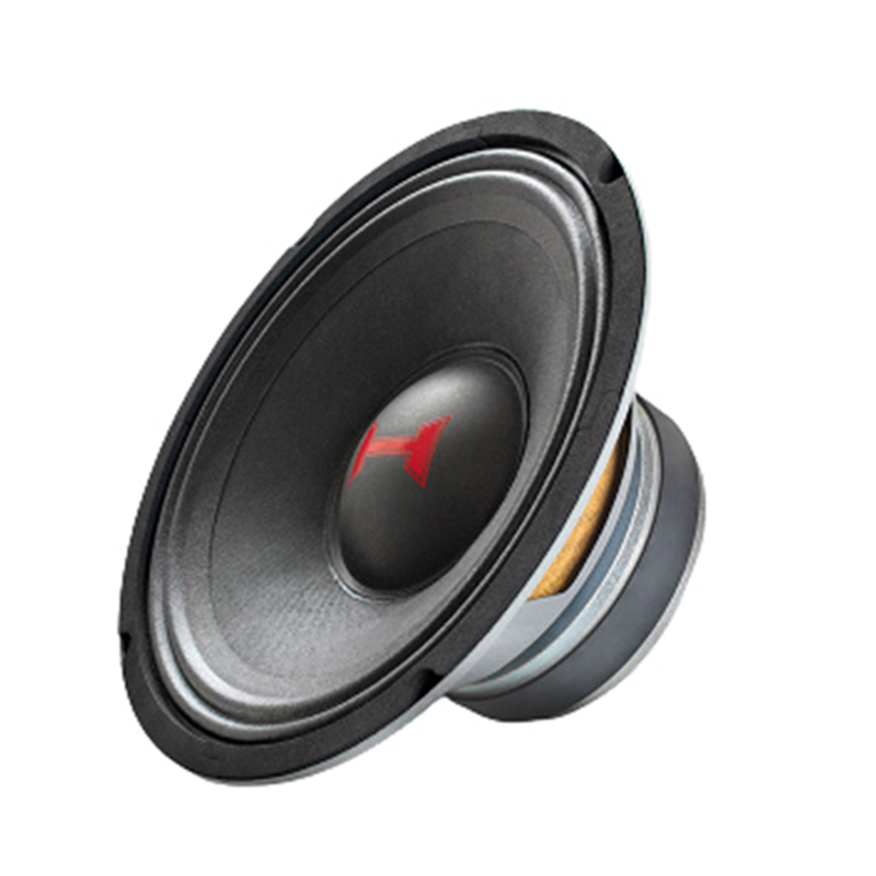 MEDIO DYNAHERTZ D10 GRAVE 10 PULGADAS