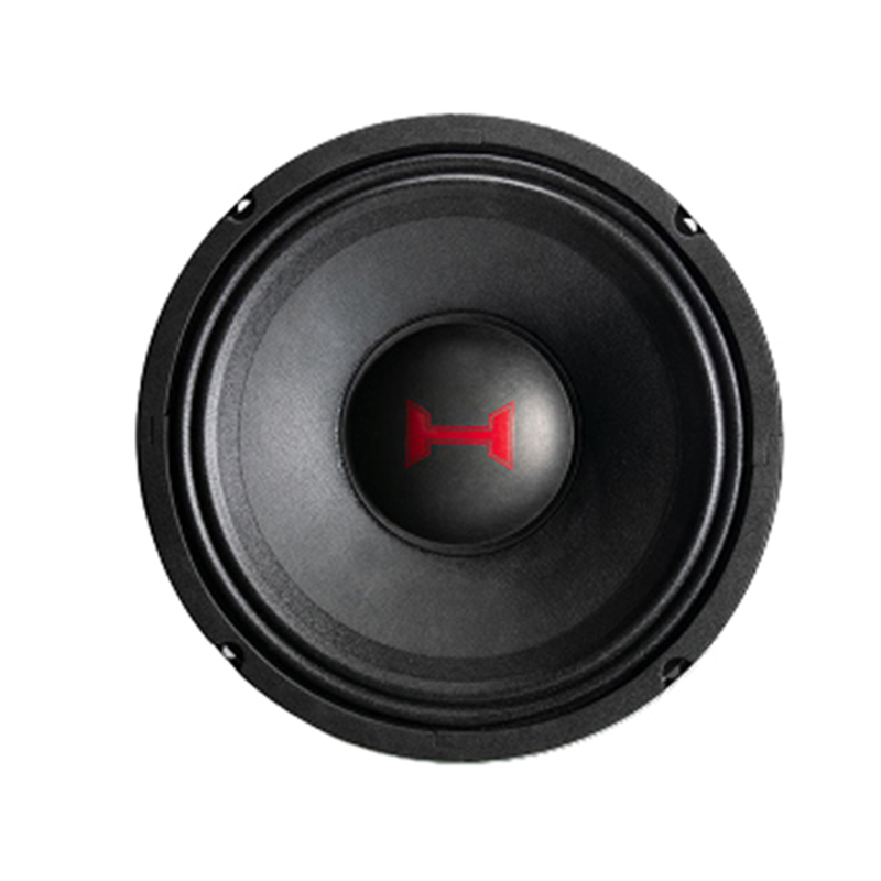 MEDIO DYNAHERTZ D10 GRAVE 10 PULGADAS