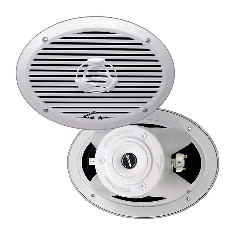 PARLANTE MARINO APSW-6932 / 300w