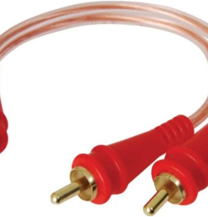 51ctX9xgFQL._AC_SL1000_